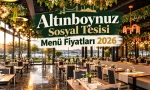 altinboynuz